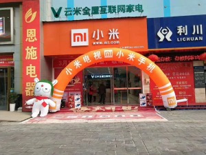 公司介绍